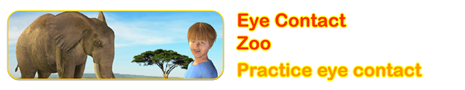 Eye Contact Zoo